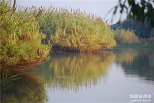 常熟沙家浜