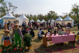 30天吸粉40萬，2019長興島郊野公園兩節圓滿閉幕，沙家浜旅游再掀熱潮