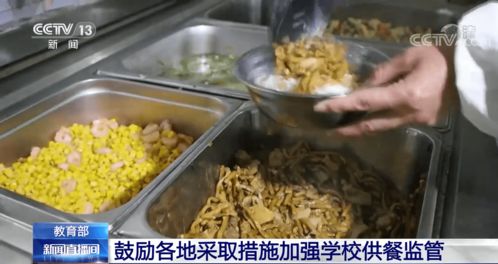 筑牢校園飲食安全網(wǎng) 教育部推動加強供餐監(jiān)管，守護學生健康底線